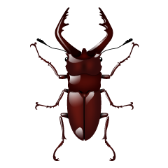 sjabth